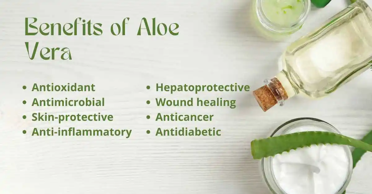 You are currently viewing Top 5 Best Organic Aloe Vera Gel Masks for Skin & Hair in 2024 | Natural & Paraben-Free