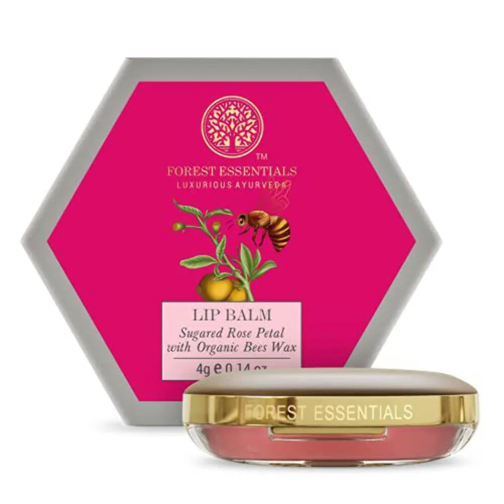 Best Chemical-Free Lip Balm for Winter Care, Natural Ingredients for Dry and Chapped Lips