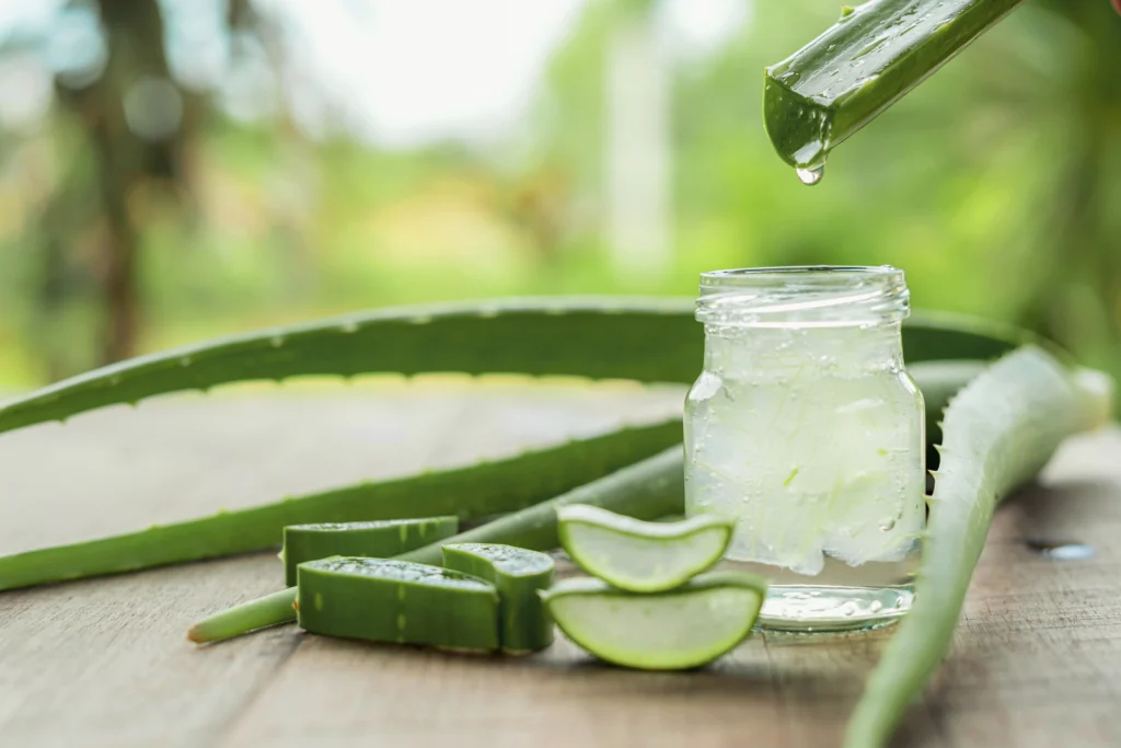 A glass of aloe vera juice and sliced aloe vera leaves