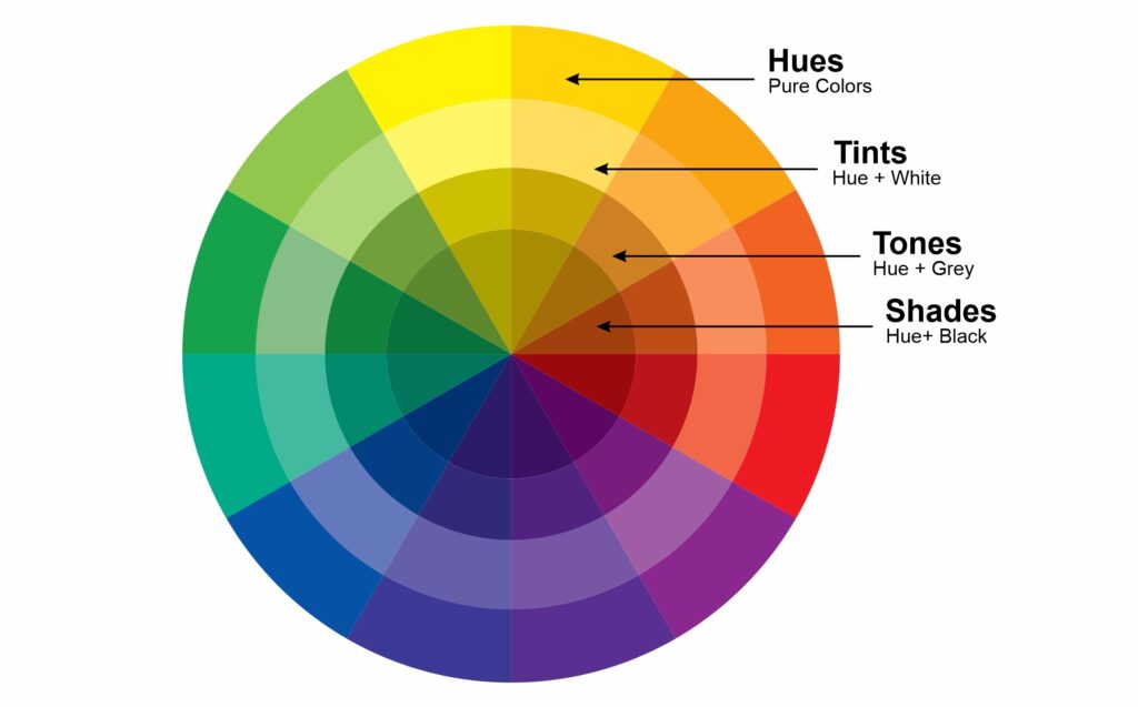 Color Wheel Displaying Hues and Tints in Color Theory
