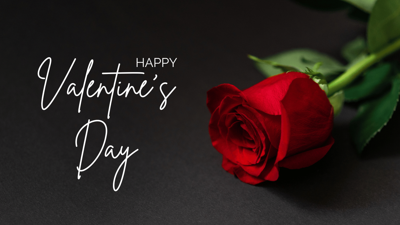 Red Black One Photo Rose Happy Valentine's Day Greeting